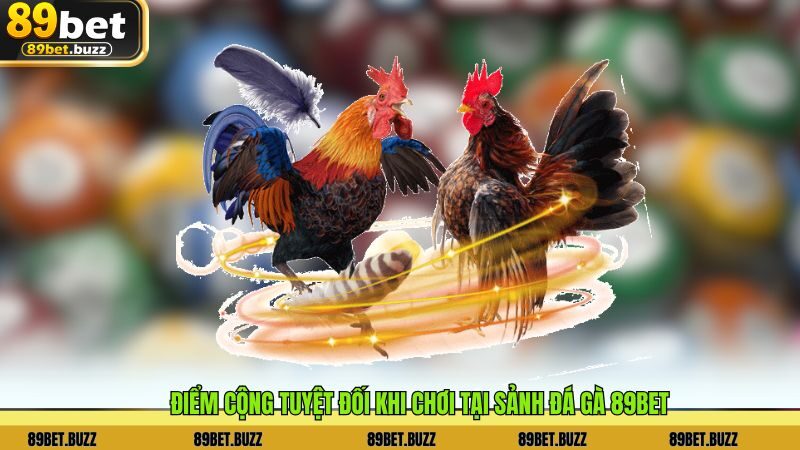 Điểm cộng tuyệt đối khi chơi tại sảnh Đá Gà 89BET